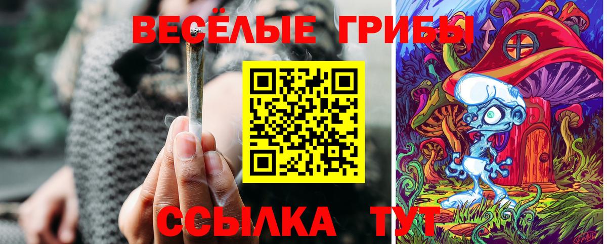 Галлюциногенные грибы Psilocybe  что такое   Ипатово  Вход с VPN 